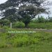 Sale land Andilana Nosybe ideal trade