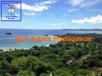 special-investor-sale-land-nosybe