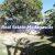 land-sale-mahajanga-madagascar-real-estate