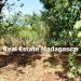 atypical-land-for-sale-antorilava-nosybe