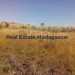 sale-agricultural-land-mahajanga