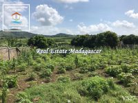 land-for-sale-madirokely-nosybe-1