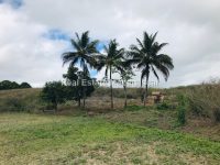 agriculture-sale-land-72-hectares-1