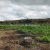 agriculture-sale-land-72-hectares-4
