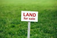 sale-land-south-anivorano-20-hectares-1