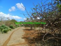 land-for-sale-near-diego-airport-1
